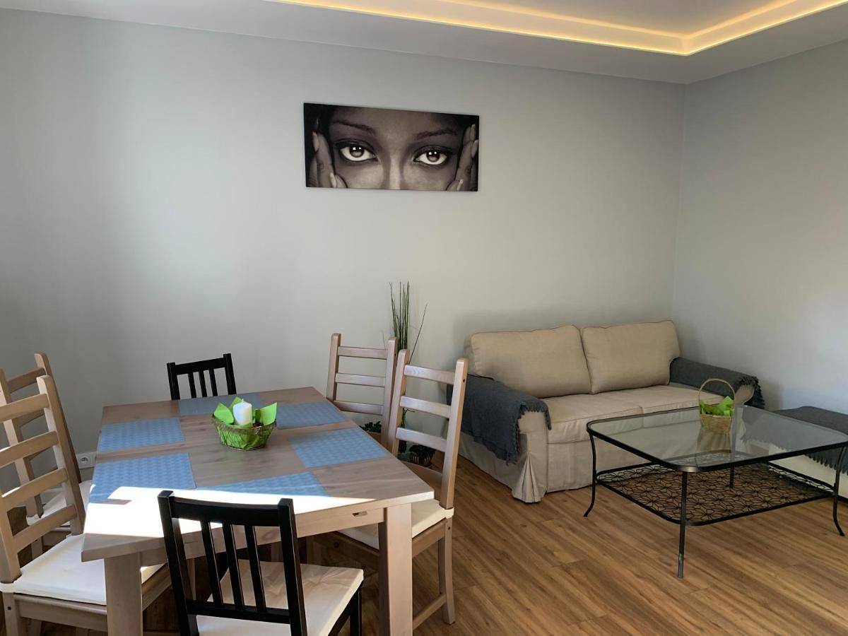 Cały apartament, Grey apartment 50 m2 in Tarnowskie Góry, Śląsk