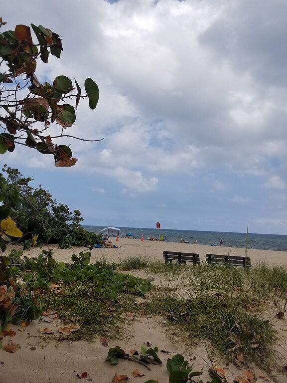 Vacation rental for 3 people, with terrace and garden in Pompano Beach