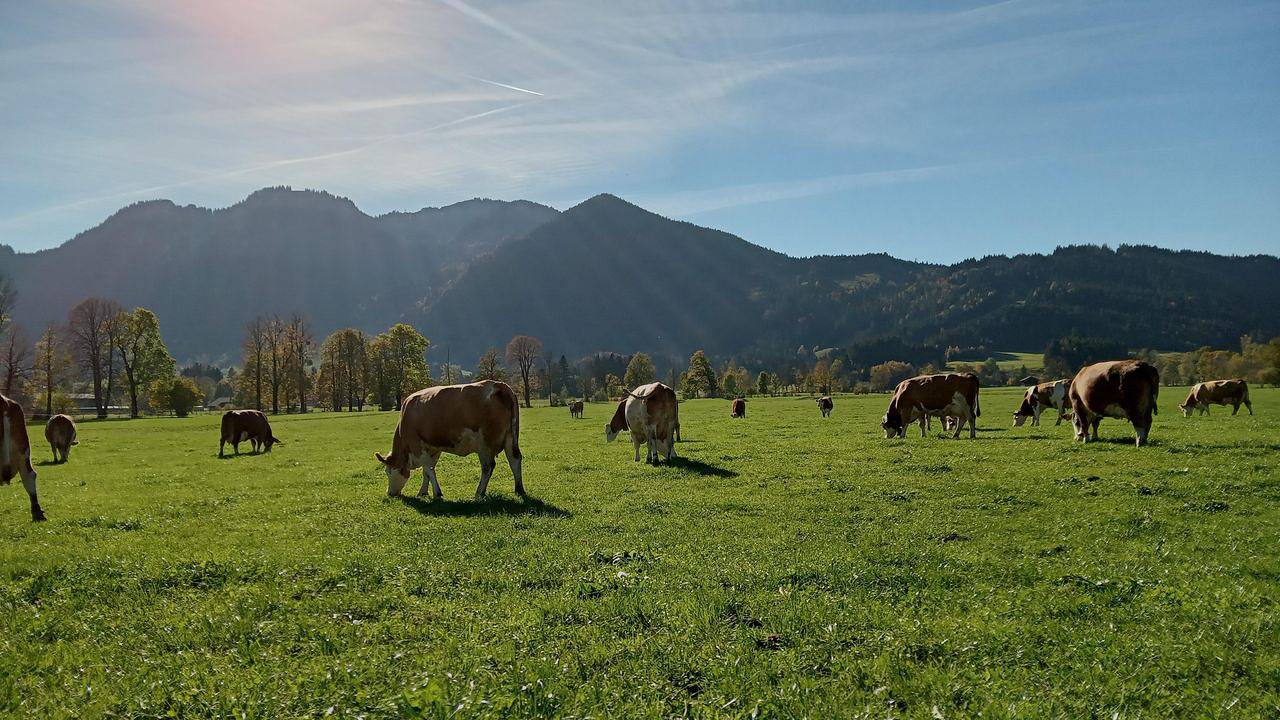 Ganze Ferienwohnung, Ferienwohnung für 4 Personen (75 m²) in Lenggries in Brauneck (Lenggries), Lenggries