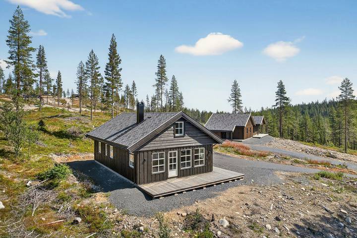 Feriehus for 8 personer, med terrasse, barnevennlig i Østlandet