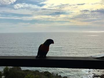Holiday Home for 10 People in Palm Beach (New South Wales), New South Wales, Photo 2