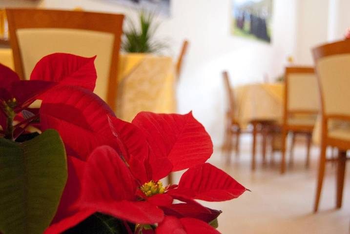 Location de vacances pour 3 personnes, avec jardin et terrasse à Scanno - 4