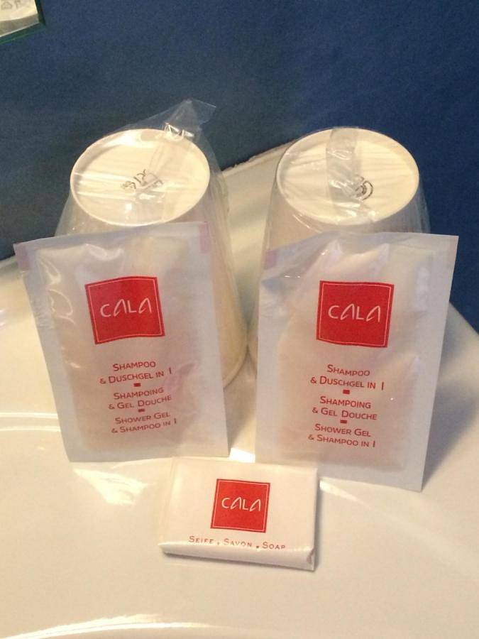 Hôtel pour 2 personnes, avec terrasse et jardin, animaux acceptés dans Beaurepaire-en-Bresse - 3