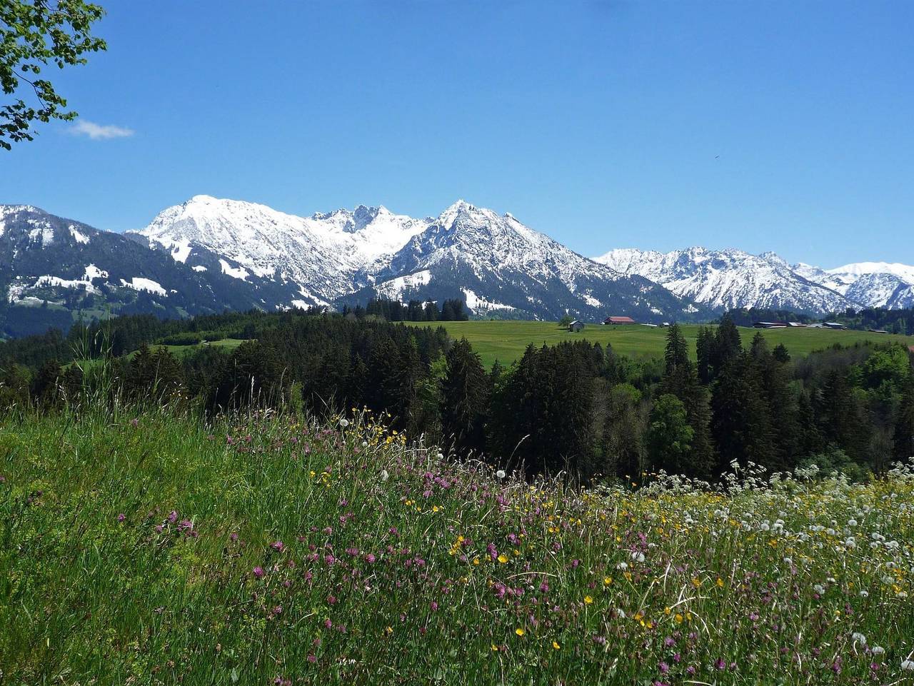 Ganze Ferienwohnung, Haflinger Hof - Ferienwohnung in Obermaiselstein, Bayerisch Schwaben