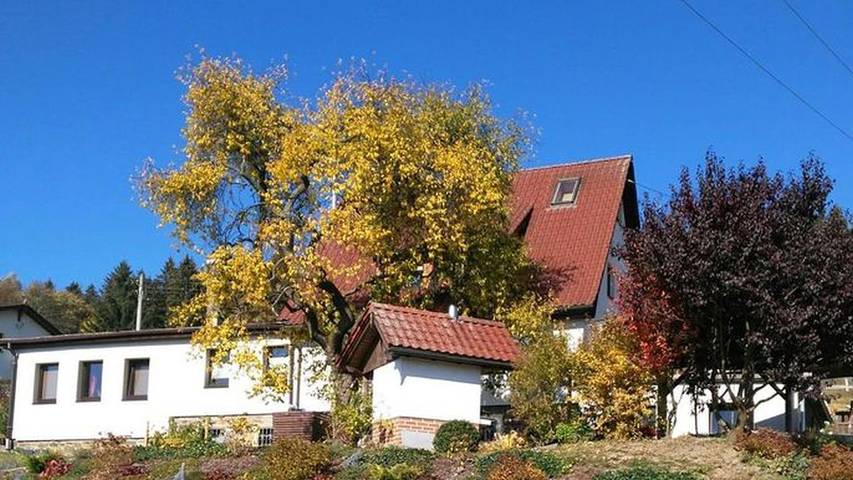 Gîte pour 4 personnes, avec terrasse à Klingenthal - 2
