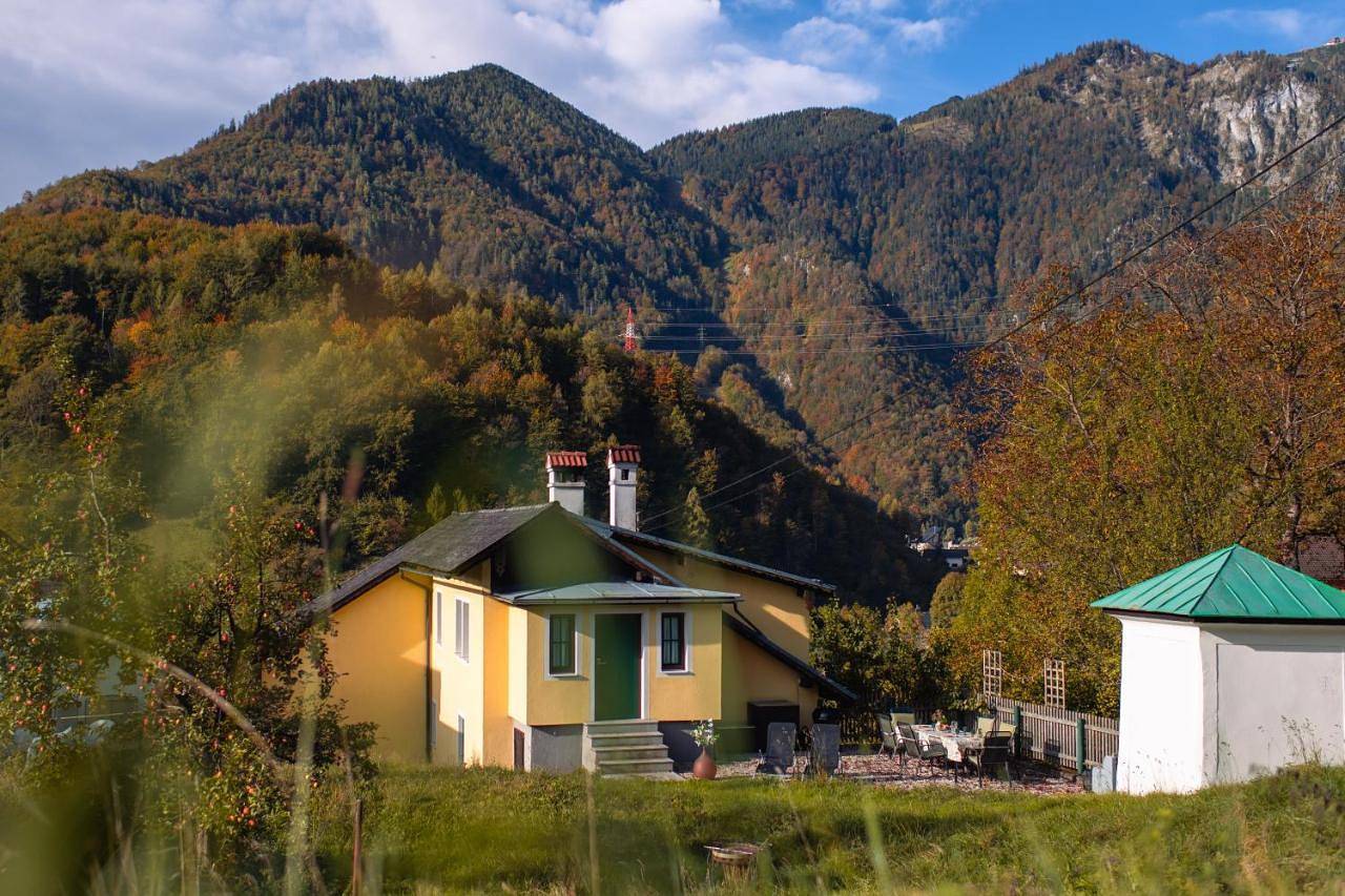 Natur & Ruhe - Ferienhaus Alexandra in Ebensee, Bezirk Gmunden