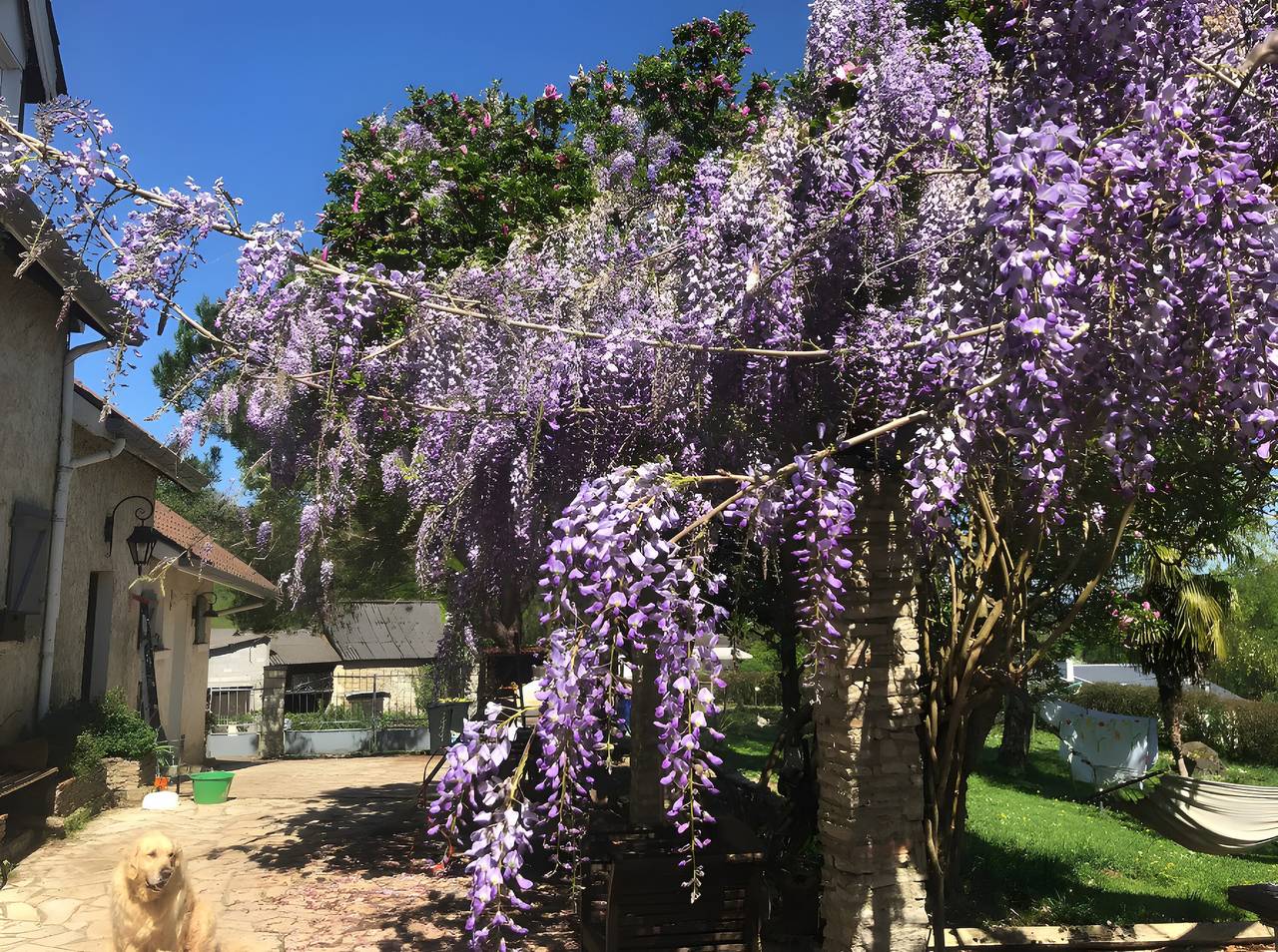 Casa vacacional «Villa Arja» con piscina compartida, Wi-Fi y aire acondicionado in Parbayse, Béarn