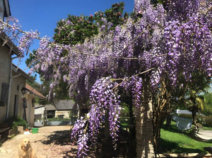 Maison de vacances pour 6 personnes, avec jardin et sauna, adapté aux familles en Pyrénées-Atlantiques