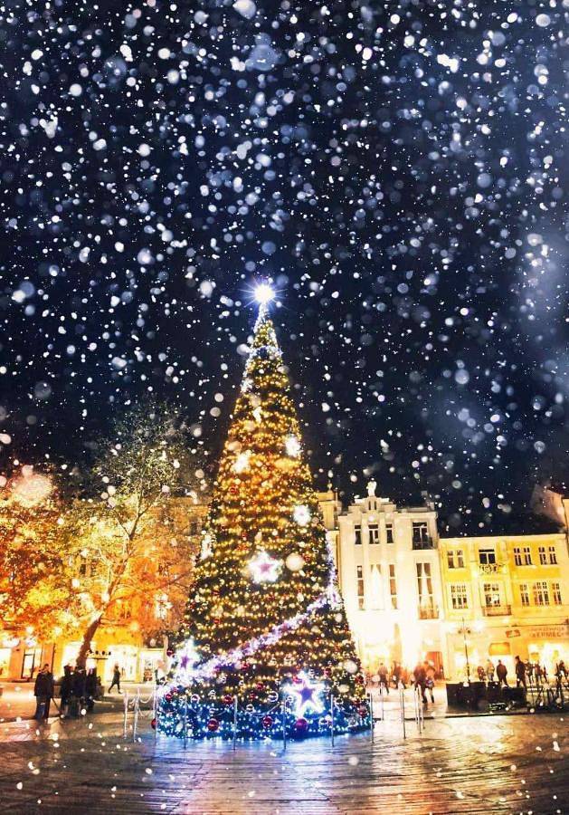 Maison d’hôte pour 2 personnes, avec jardin à Plovdiv - 3