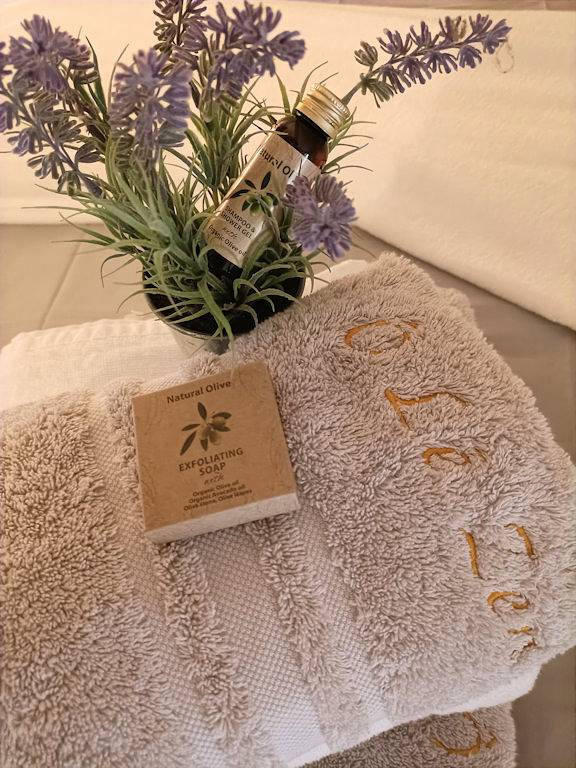 Location de vacances pour 4 personnes, avec jardin et jacuzzi dans Fontenay-le-Comte - 4