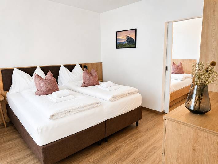 Ganze Wohnung, Alpenstolz #2.02 Komfort in Bregenzerwald (Vorarlberg), Damüls