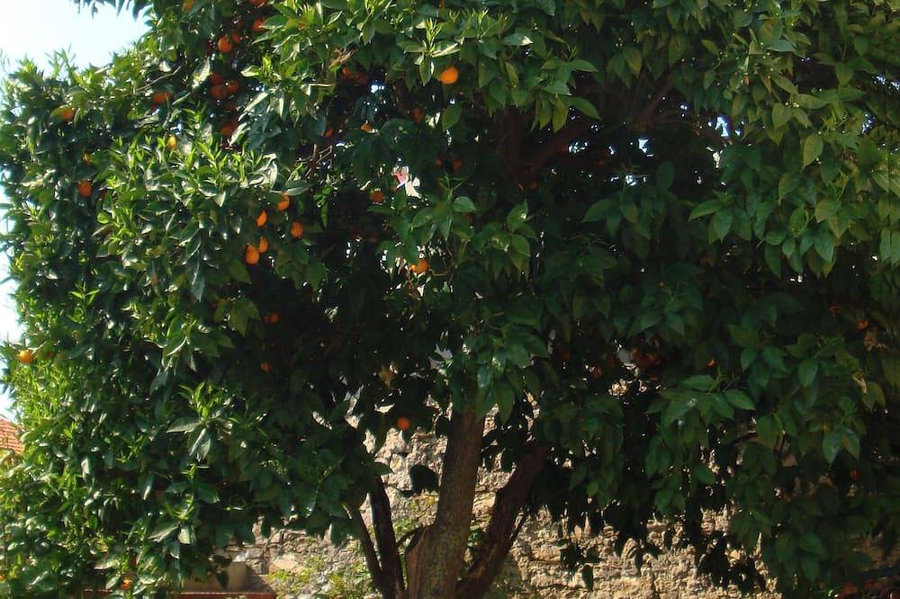Casa Margherita, gemütliches Haus im antiken Dorf, ruhig gelegen in Vasia, Riviera di Ponente