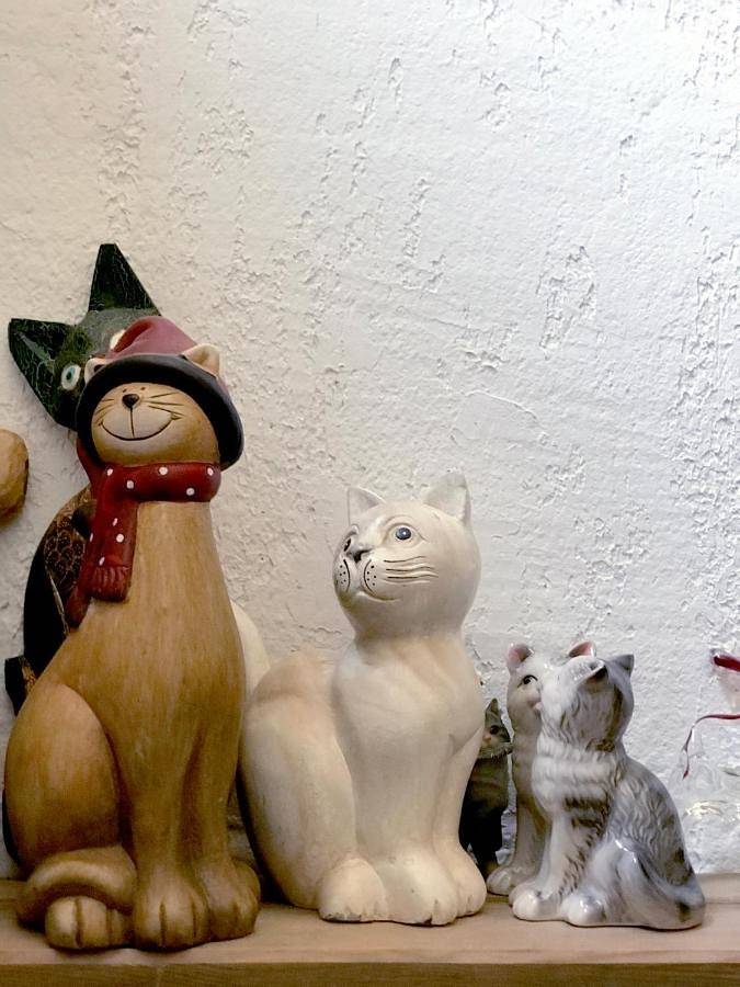 Location de vacances pour 3 personnes, avec terrasse à Levie - 2