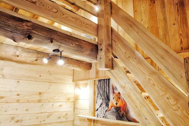 Chalet pour 8 personnes, avec sauna et piscine ainsi que jacuzzi et jardin à Basse-sur-le-Rupt - 3