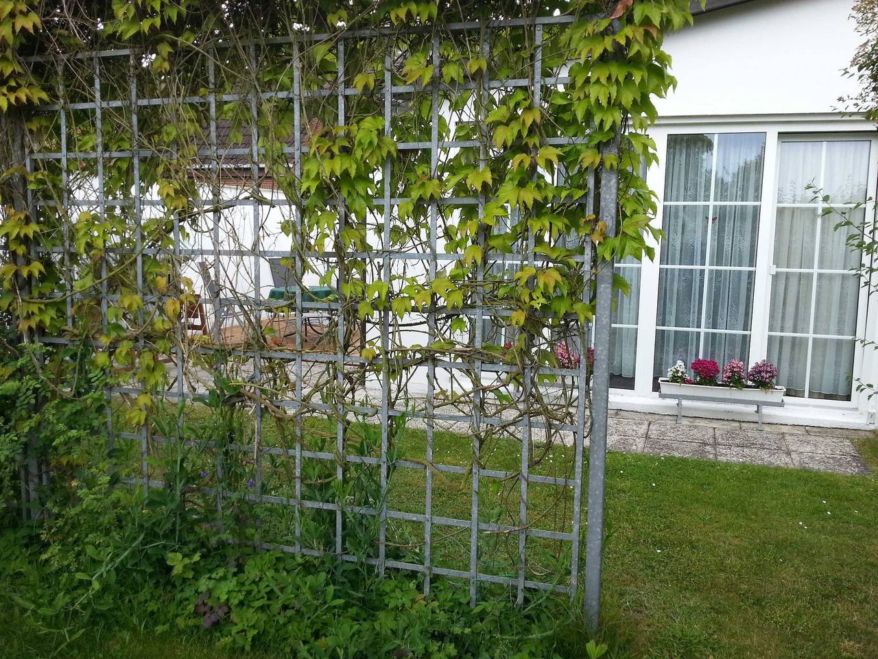 Ganze Ferienwohnung, Bungalow Silbermöwe in Ostseebad Koserow, Koserow