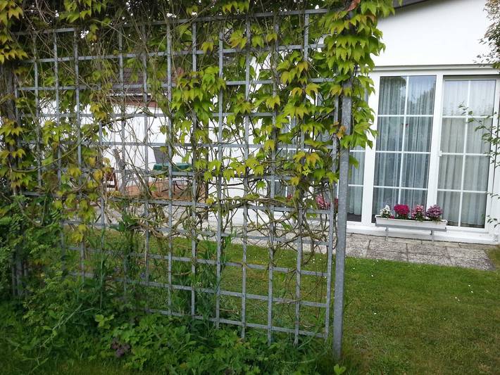 Ferienwohnung für 3 Personen, mit Terrasse und Seeblick in Koserow - 3