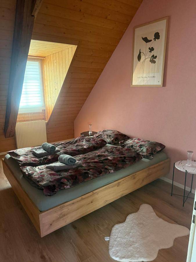 Gîte pour 8 personnes, avec jardin et vue, animaux acceptés à Wimmis - 4