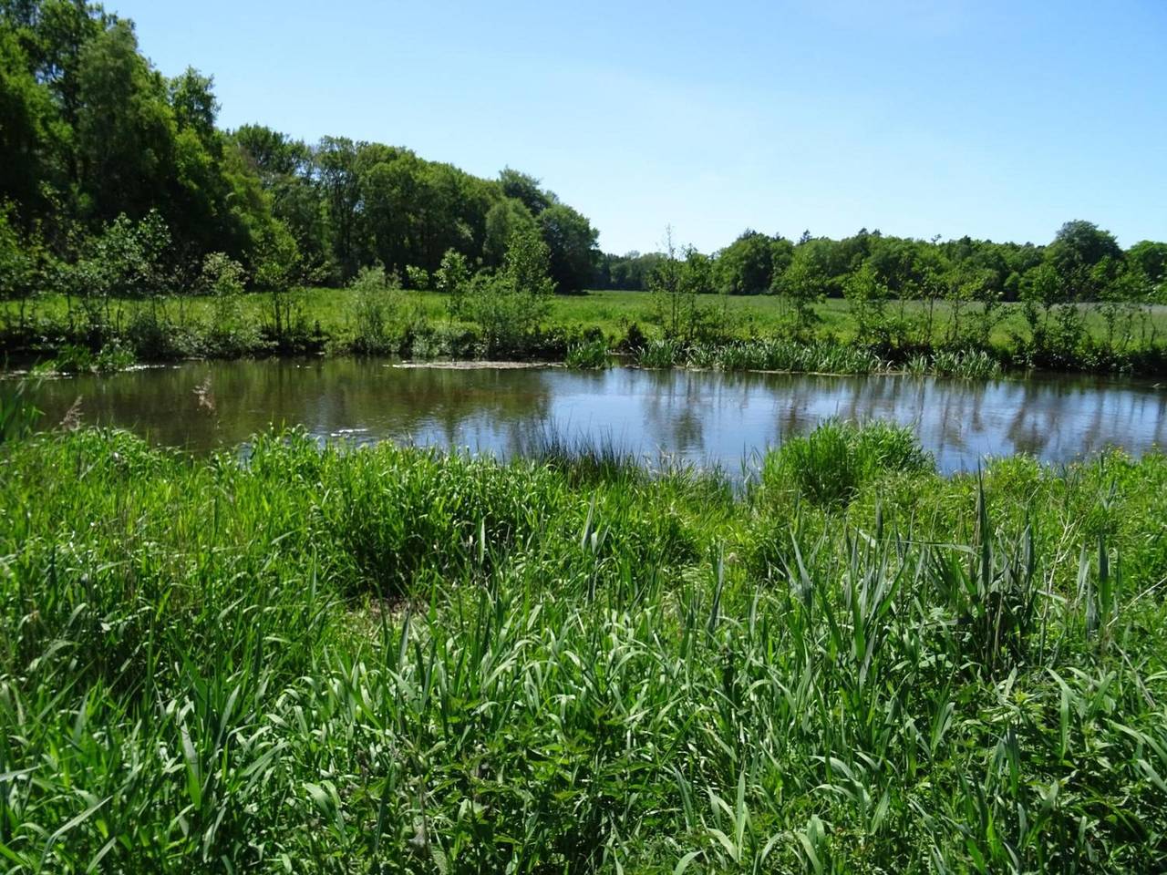 Ganze Wohnung, Apartment „Wiese“ mit privater Terrasse, Garten und Wlan in Rendsburg-Eckernförde