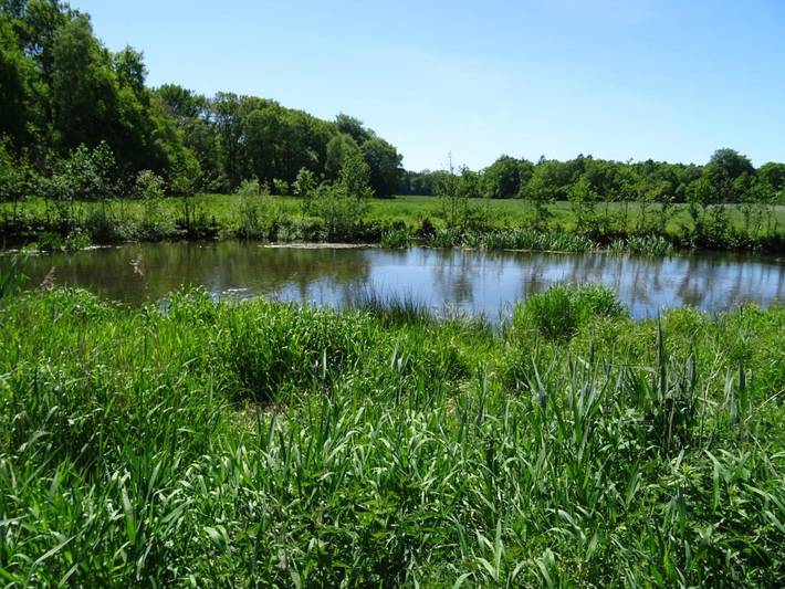 Ferienwohnung für 5 Personen, mit Garten in Mittelholstein - 4