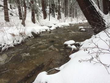 Log Cabin for 4 Guests in Idyllwild, Riverside County, Picture 4