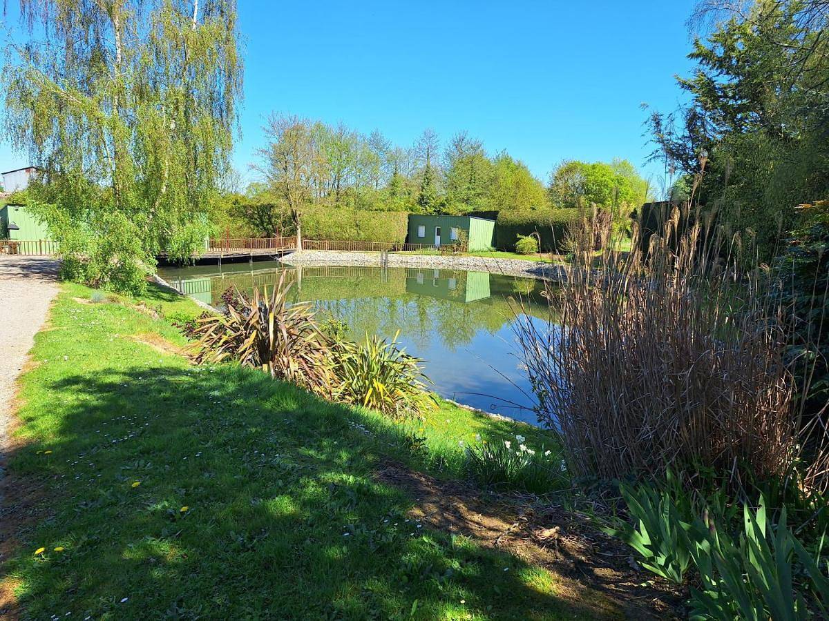 Bungalow with Patio in Cossé-le-Vivien, Mayenne