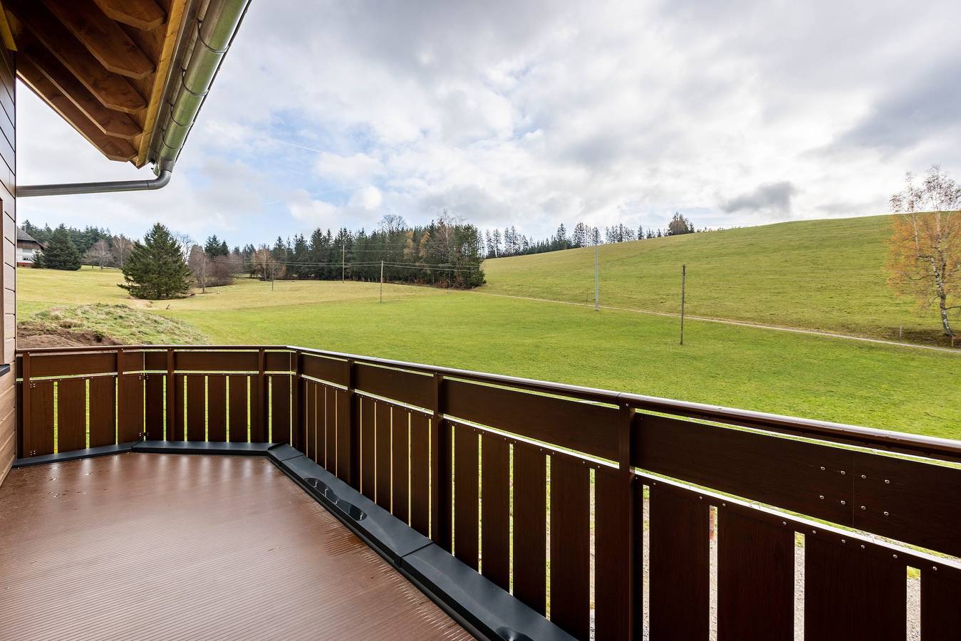 Ganze Wohnung, Ferienwohnung 'Bergpanorama' mit Bergblick, Gemeinschaftsterrasse und Wlan in Triberg, Südschwarzwald