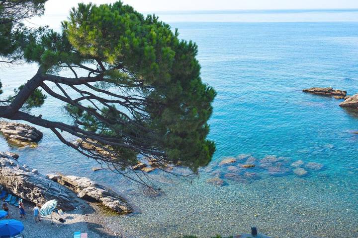 Gîte pour 4 personnes, avec vue et terrasse, animaux acceptés à Zoagli - 4