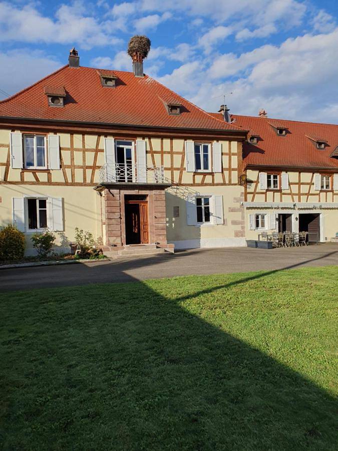 Domaine d'Alémanie in Ebersmunster, Région de Sélestat-Erstein