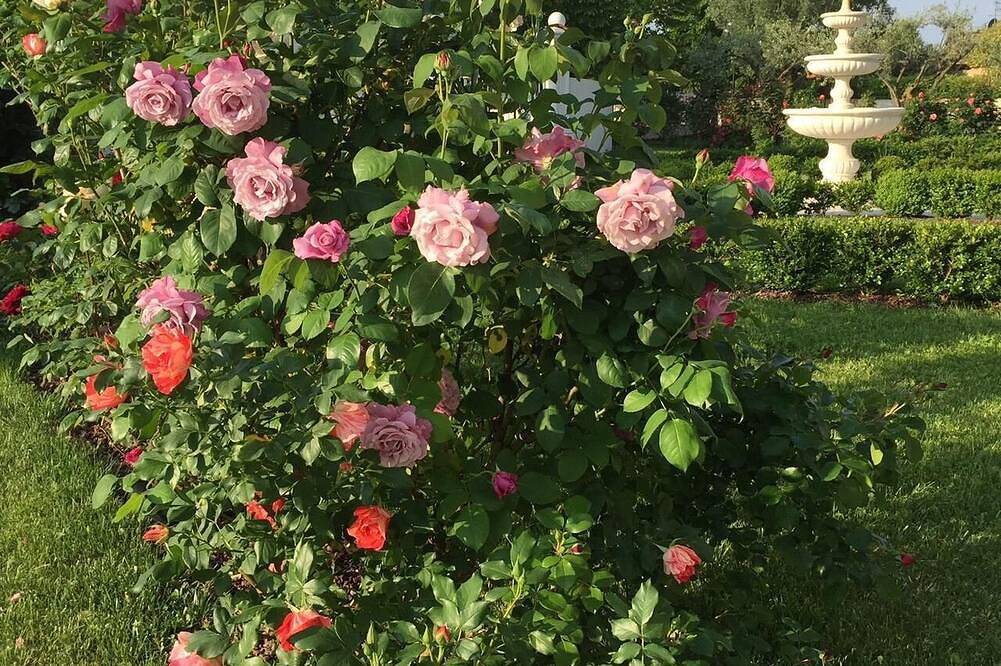 Appartamento intero, Vacanza Da Sogno Sul Lago Di Garda in Lazise, Prealpi Gardesane