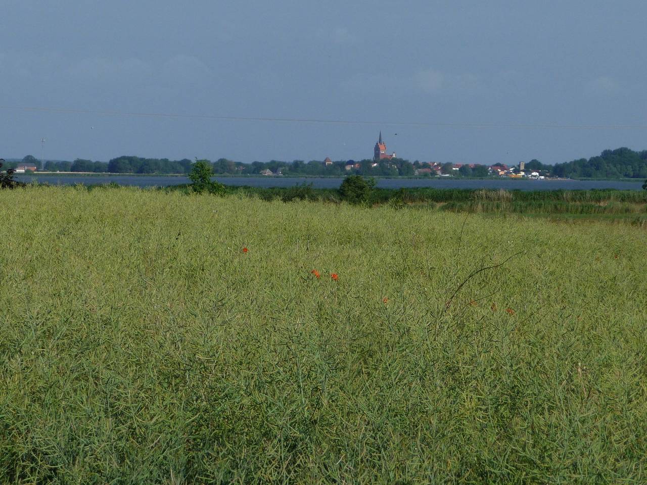 Feriengut Welzin in Welzin, Usedom Stadt