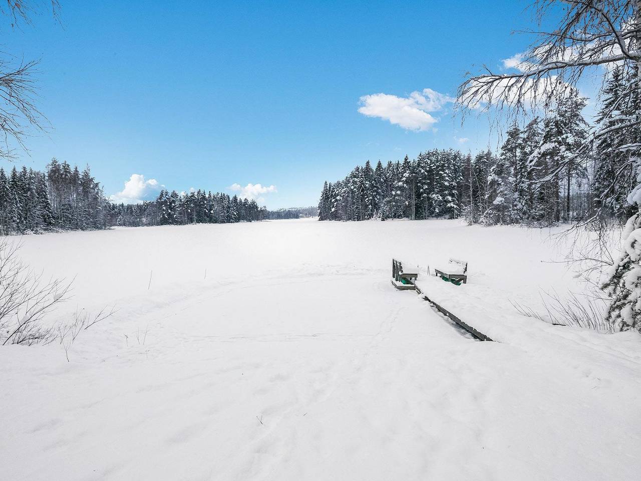 Vaahtera in Vihtajärvi