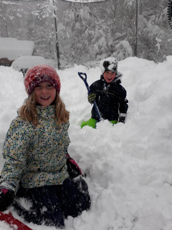 Ferienhaus für 6 Personen, mit Ausblick und Seeblick sowie Garten in Lunz am See - 2