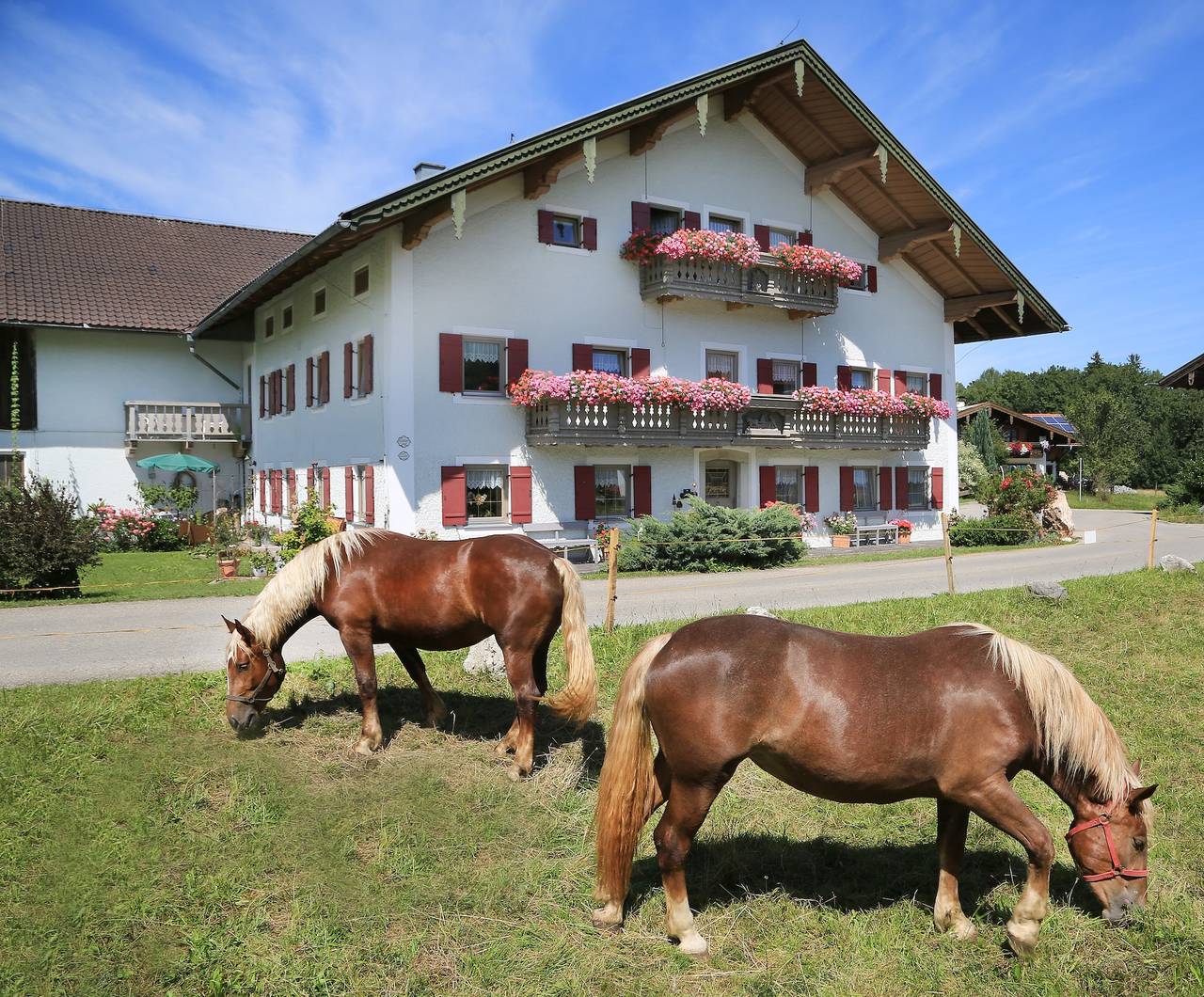 Heutauer Hof - Kopie von Kopie von holiday flat in Siegsdorf, Bavarian Alps