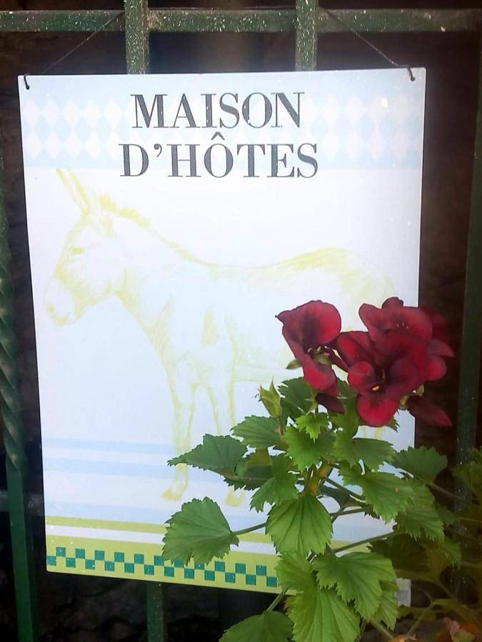 Gîte pour 4 personnes, avec jardin et vue à Viviez - 2