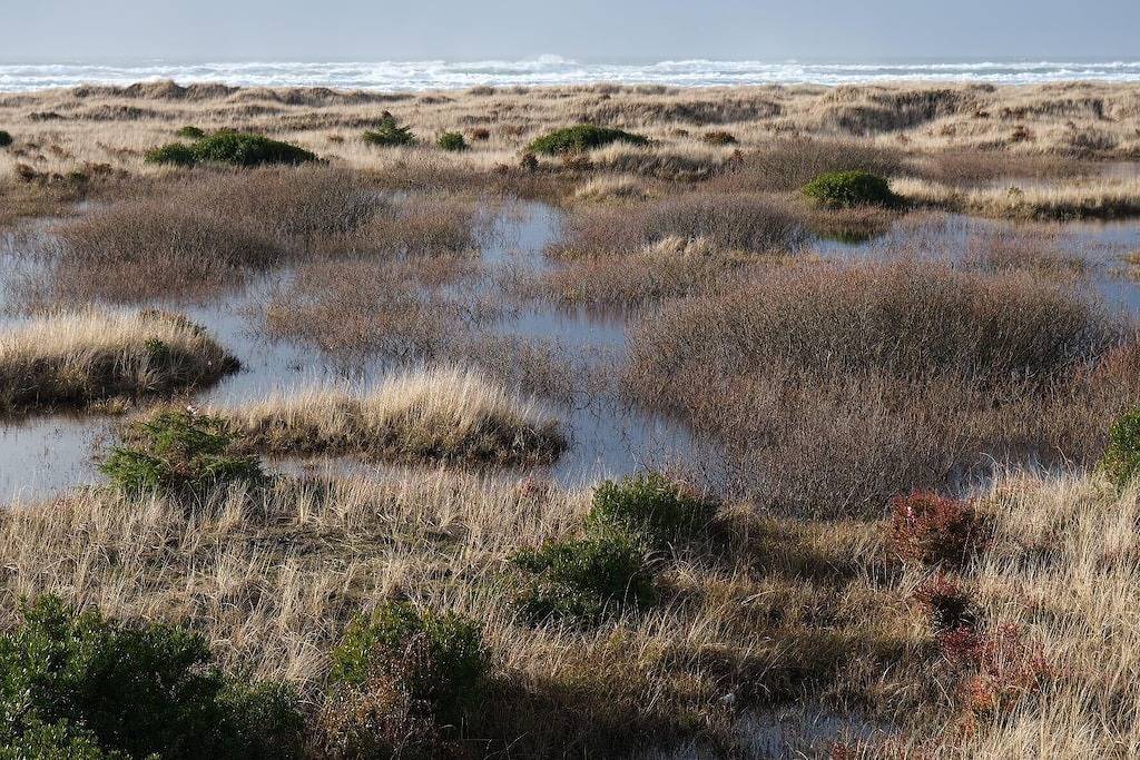 Cozy Chalet in Ocean Shores located within steps from the beach in Ocean Shores Beach, Ocean Shores