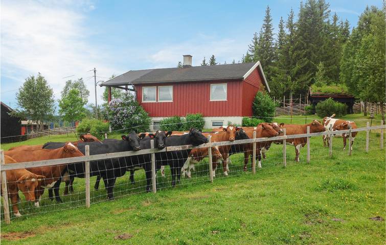 Ferienhaus für 4 Personen mit Terrasse in Svingvoll, Gausdal