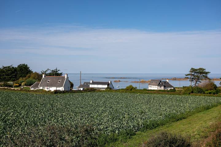 Location de vacances pour 12 personnes, avec jardin à Pleubian - 4