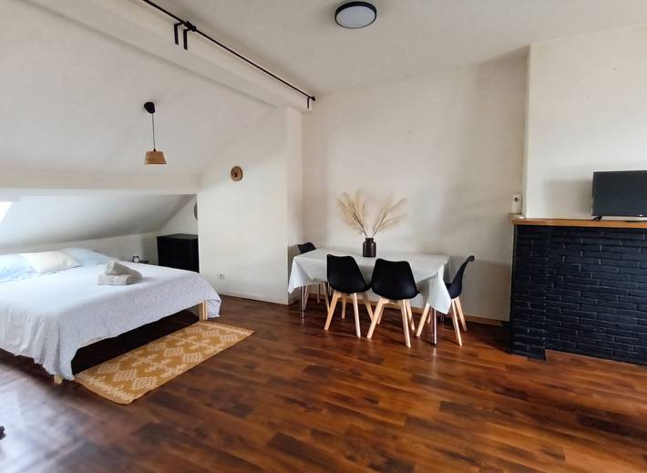 Ganzes Studio, Charmantes Studio in Saint-Nicolas 35 m² mit Flair in Sint-Niklaas, Ostflandern