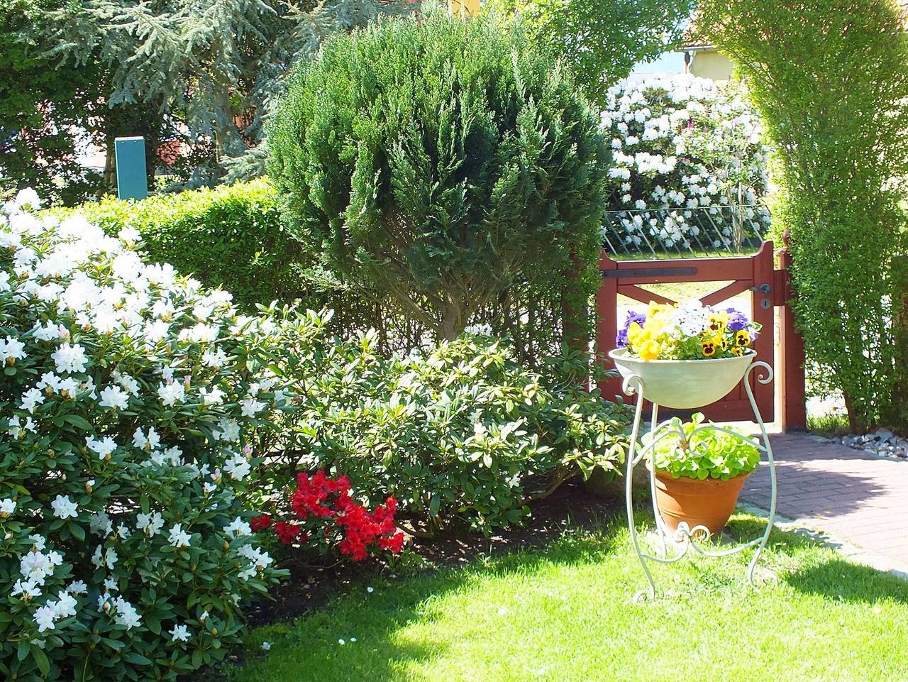 Ganze Ferienwohnung, Ferienwohnungen im Klönhus in Prerow, Fischland - Darß - Zingst