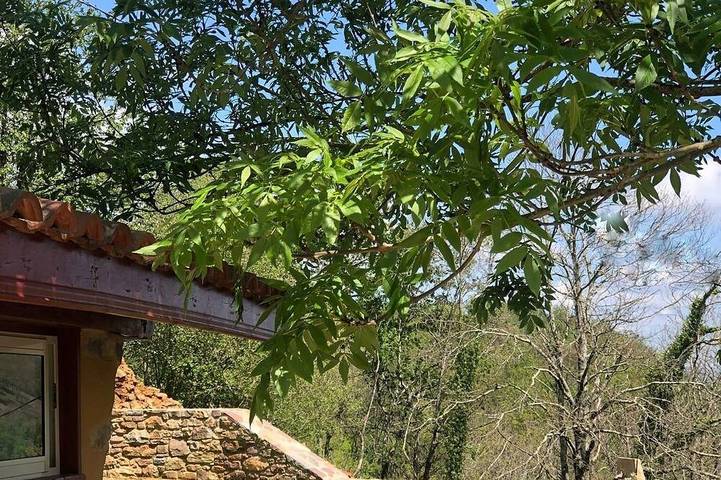 Maison de vacances pour 6 personnes, avec terrasse et jardin, animaux acceptés