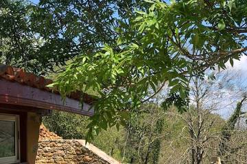 Location de vacances pour 6 personnes, avec jardin et terrasse, animaux acceptés à Saint-Étienne-de-Baïgorry