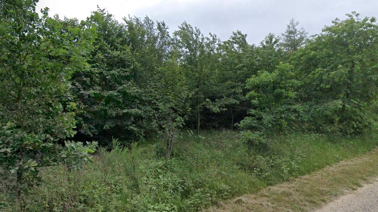 Ferienhaus für 4 Personen (46 m²) in Skærbæk in Skærbæk, Tondern und Umgebung