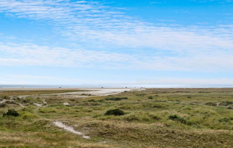 Ferienwohnung für 4 Personen, mit Terrasse und Sauna, mit Haustier in Drachenfestival Fanø - 4