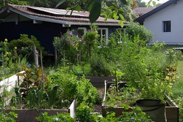Chambre d’hôte pour 4 personnes, avec jardin à Capbreton