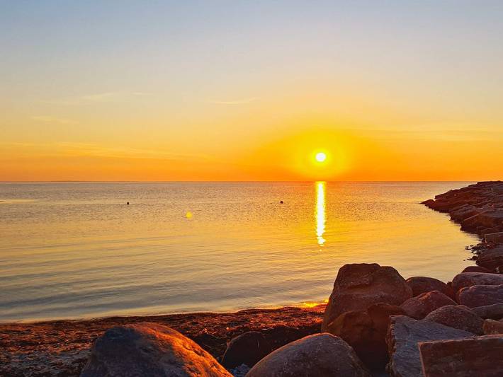 Ferienhaus für 3 Personen, mit Terrasse und Sauna auf Öland - 3
