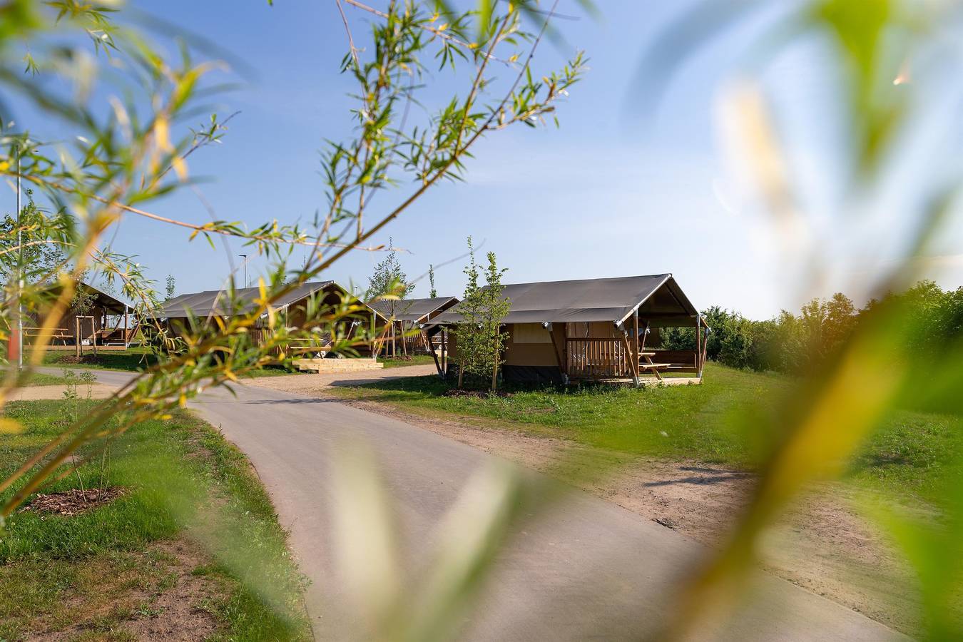 Glamping Zelt mit Bad - 4 Pers. (groß) in Prenzlau, Uckermark