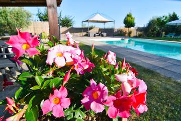 Villa for 20 Guests in Cortona, Arezzo Province, Picture 3