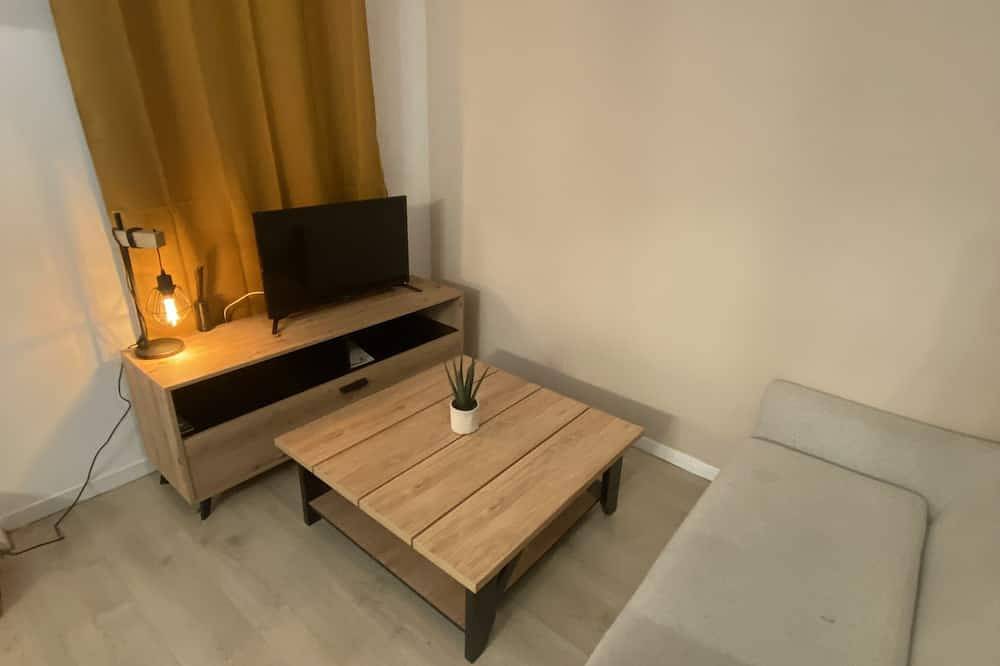 Entire apartment, Nice studio close to the Halles de Pau and the fair! in Pau, Béarn