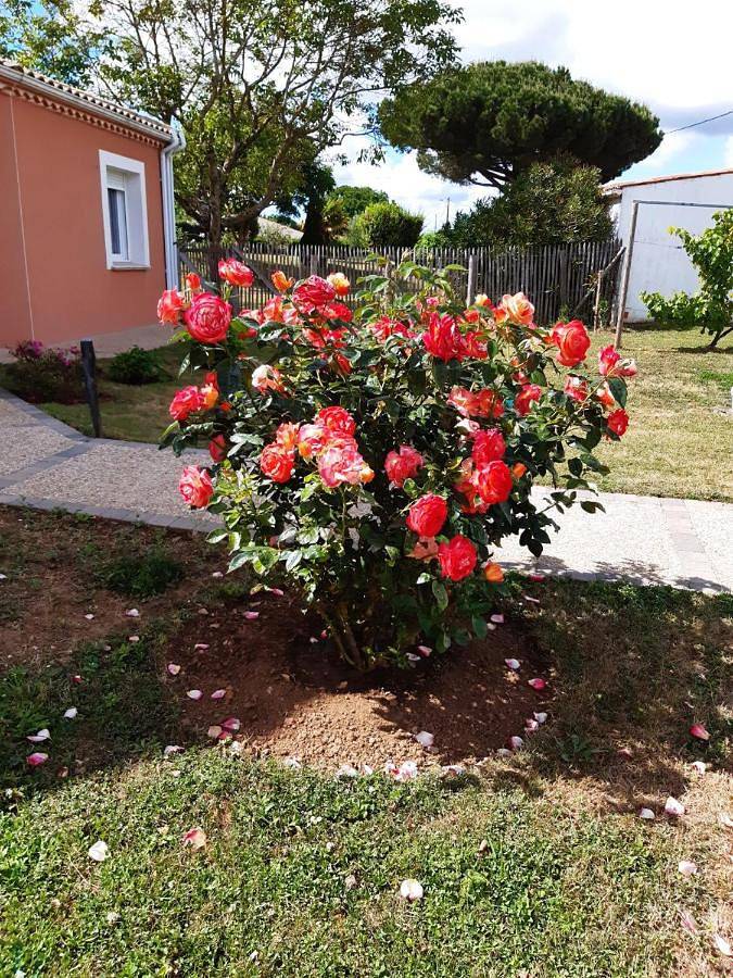 Location de vacances pour 4 personnes, avec jardin et vue à La Jonchère - 2