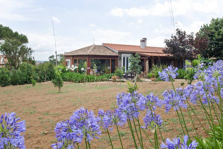 Hel lejlighed, Casa de Campo d'Olívia Lovely Homes — Rural Tranquility in Portugal's Heartland in Cela, Leiria District
